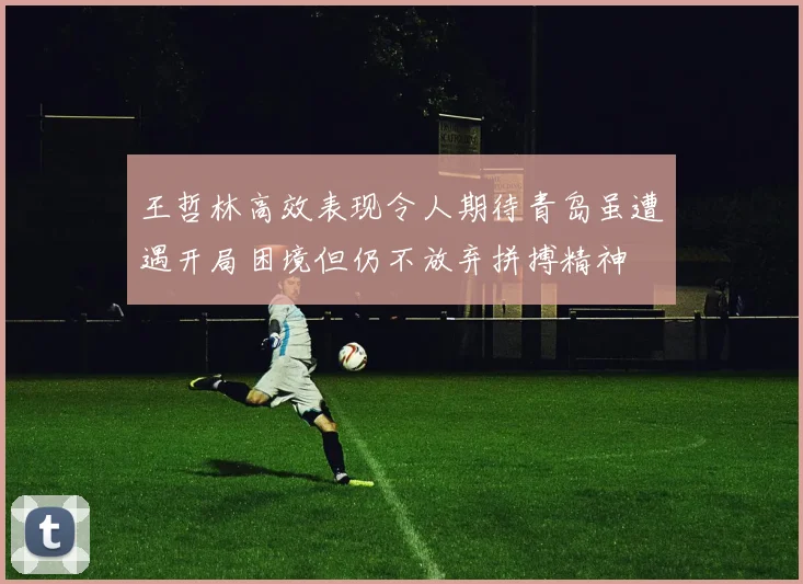 王哲林高效表现令人期待青岛虽遭遇开局困境但仍不放弃拼搏精神