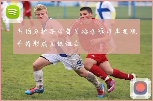 韦伯分析字母哥目标夺冠与库里联手将形成无敌组合